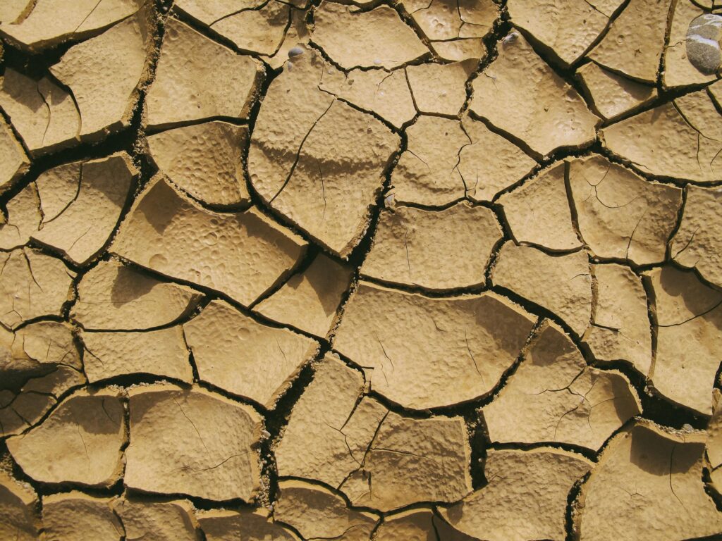 Close-up of cracked, dry soil conveying the harshness of arid desert conditions. Russia's Kamchatka Earthquake
